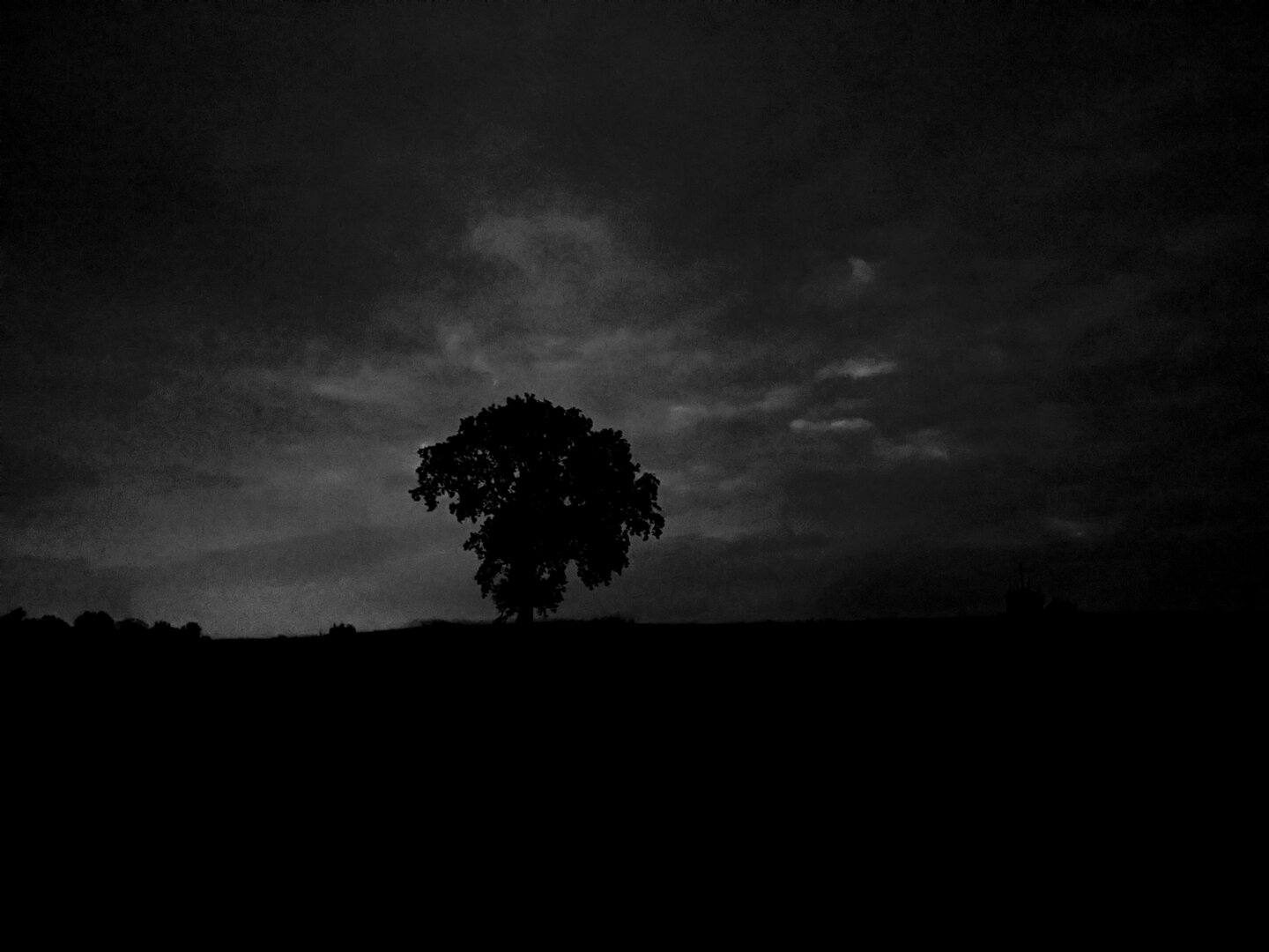 dark and moody and gothic solitary oak on a hill at twilight