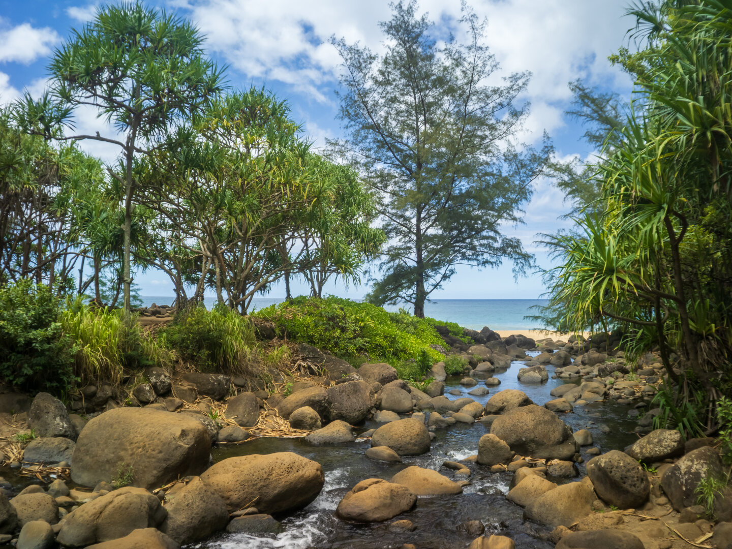 Einfach nur schön hier! Auf dem Weg zum Sandstrand liegt eine wunderschöne Oase, die zum Verweilen einlädt. 
It's just beautiful here! On the way to the sandy beach, there is a wonderful oasis that invites you to linger.
#hawaii #landscape #photography #naturephotography
